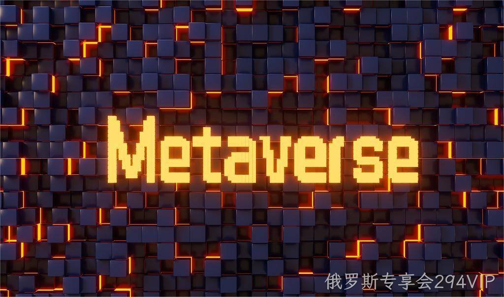 俄罗斯专享会294VIP|元宇宙=现实世界映射+虚拟世界交互”